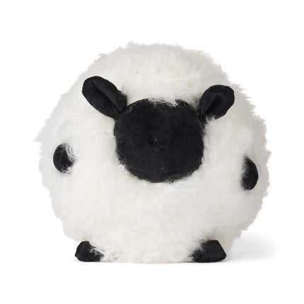 Cute Sheep | New Zealandsk Lammeskind