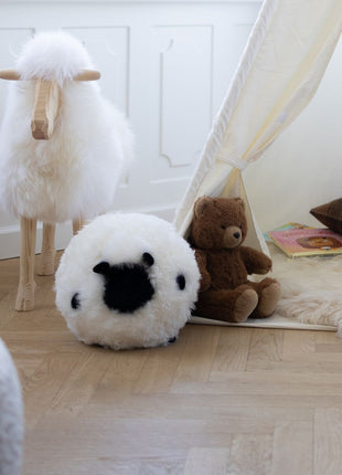 Cute Sheep | Korthåret | New Zealand Beige/Hvid