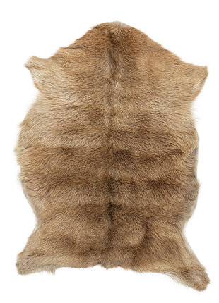 Gedeskind | Premium | Korthåret | 90x60 cm Naturlys