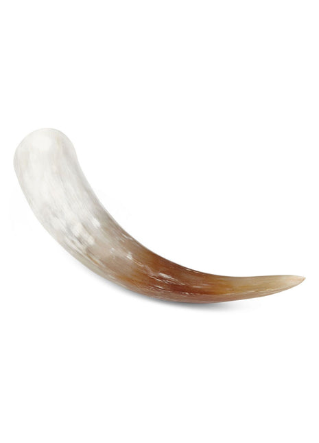 Horn | Sydafrikansk | Ko | Watusi