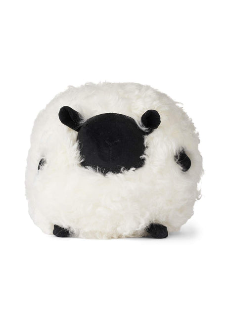 Cute Sheep | Korthåret | New Zealand | Ø28 cm