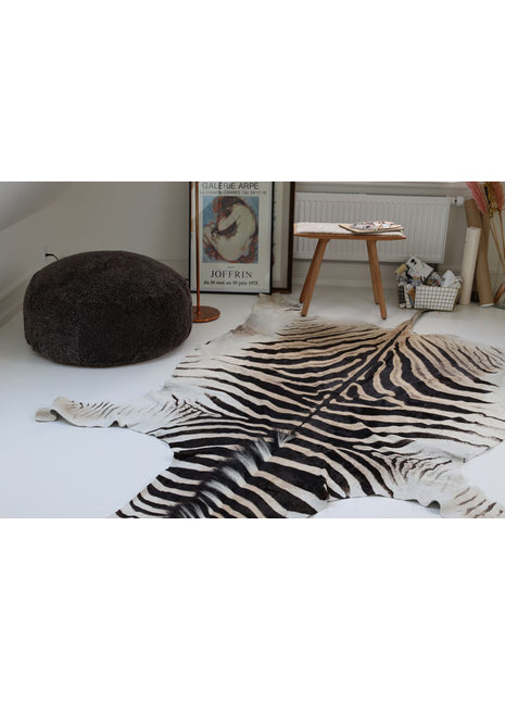 Zebraskind | Sydafrika