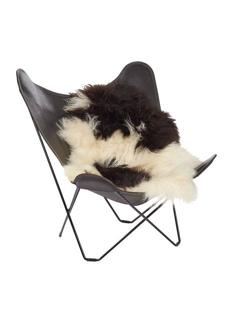 Lammeskind | Langhåret | Island | 120+x60 cm