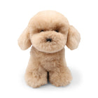 Teddybear Hvalp | Islandsk Lammeskind Beige