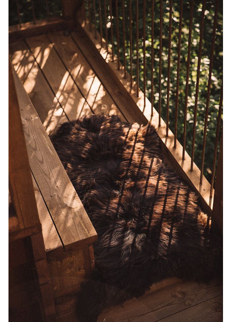 Lammeskind | England | 120+ x60 cm