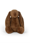 Teddybrun