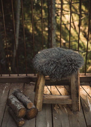 Sædehynde | Langhåret | New Zealand | D34 cm Gylden Hvid