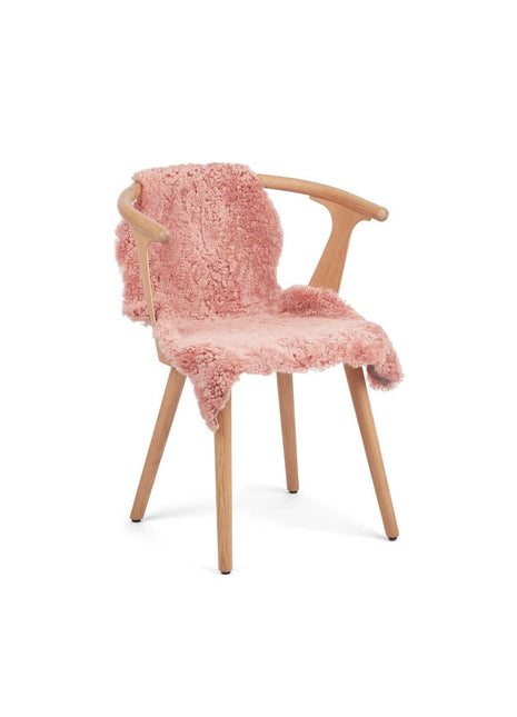 Lammeskind | Premium | Korthåret | 90x60 cm