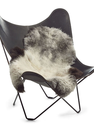 Lammeskind | Korthåret | Island | 90-100x60 cm