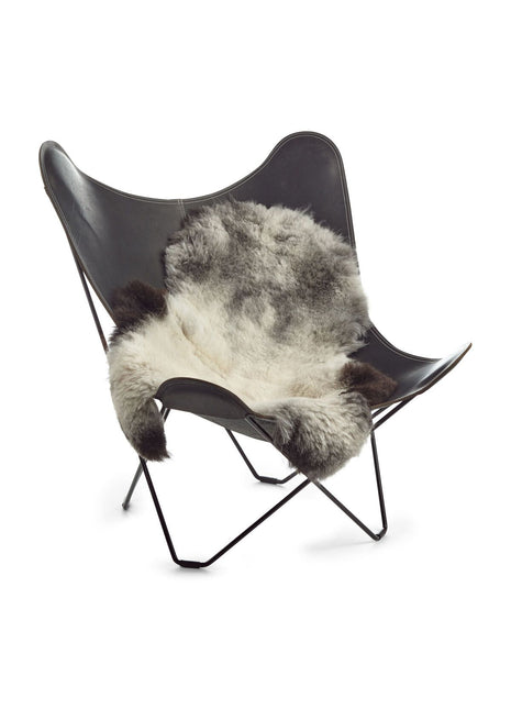 Lammeskind | Korthåret | Island | 90-100x60 cm