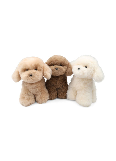 Teddybear Hvalp | Islandsk Lammeskind