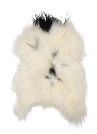 Lammeskind | Langhåret | Island | 120+x60 cm Plettet