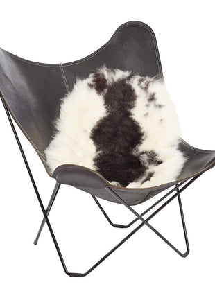 Lammeskind | Korthåret | Island | 100-120x60 cm Spottet