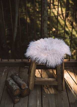 Sædehynde | Langhåret | New Zealand | D34 cm Gylden Hvid