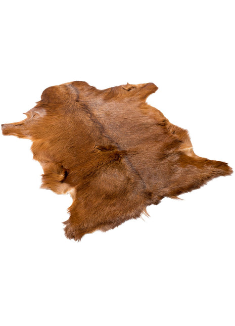 Gedeskind | Premium | Korthåret | 90x60 cm