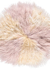 Arctic Sunrise/Dove