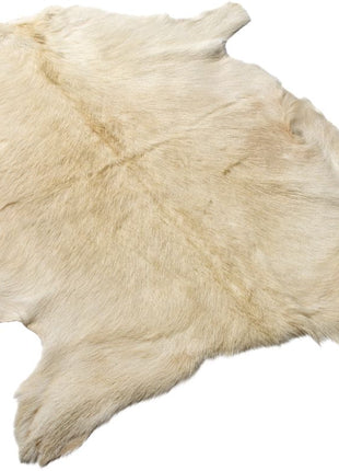 Gedeskind | Premium | Korthåret | 90x60 cm Naturlig hvid