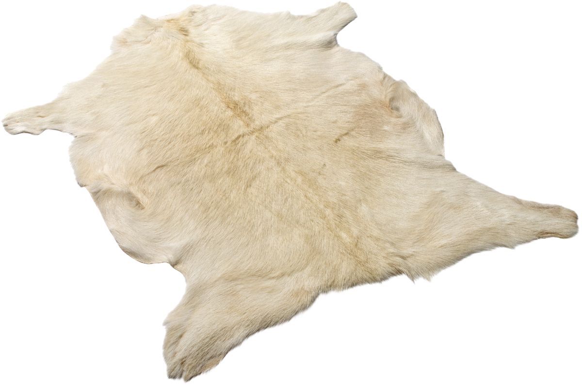 Gedeskind | Tibet | 90x60 cm Naturlig hvid
