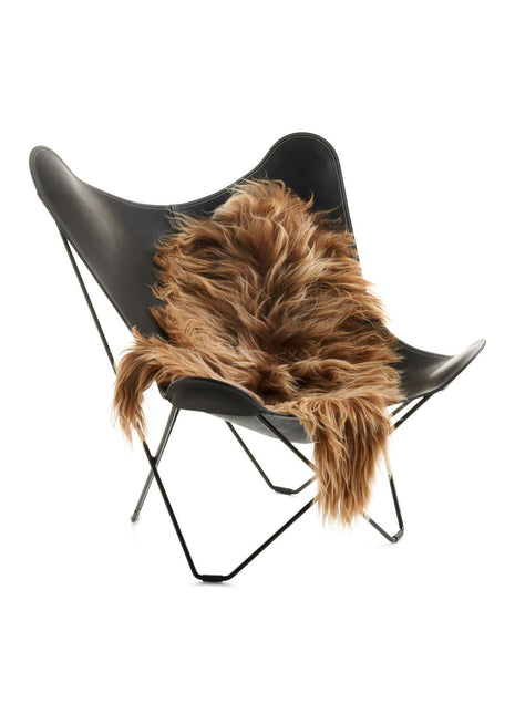 Lammeskind | Langhåret | Island | 90x60 cm