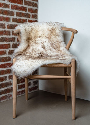 Lammeskind | Langhåret | New Zealand | 100x60 cm Spottet