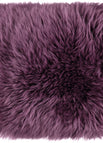 Aubergine