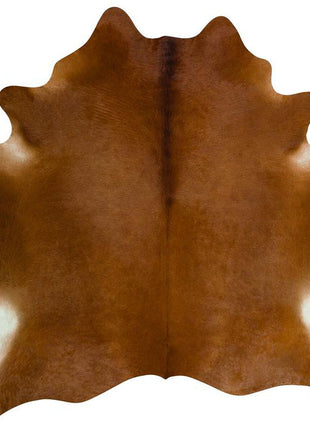 Premium Naturlige Koskind | Brasilien Brun