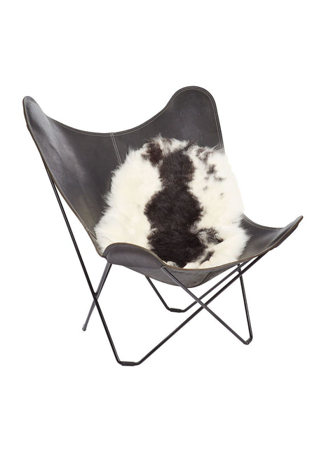 Lammeskind | Korthåret | Island | 90-100x60 cm