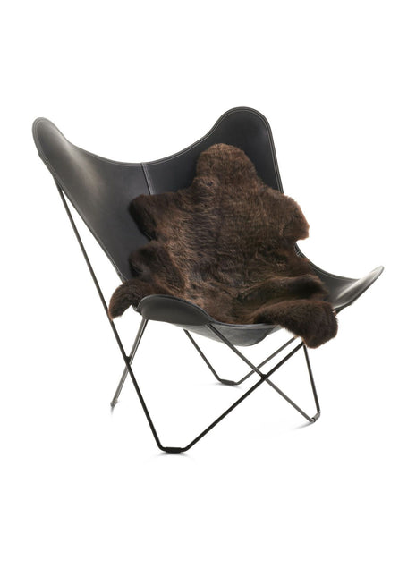 Engelsk Lammeskind | Korthåret | 90-100 cm