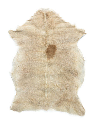 Gedeskind | Premium | Korthåret | 90x60 cm Naturlys