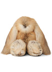 Gold Fox/Beige