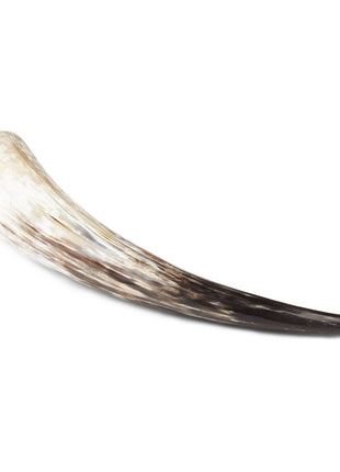 Kohorn | Sydafrika | Poleret | 51+ cm