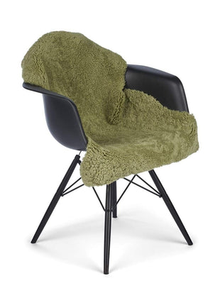 Lammeskind | Korthåret Krøllet | New Zealand | Tæppe 100 cm