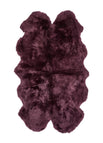 Aubergine