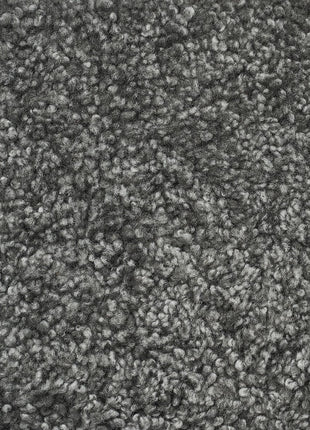 Emilia Barstol | Korthåret Grå