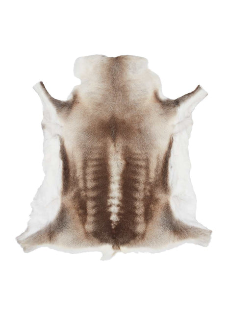 Rensdyrskind | Finland | 70x110 cm