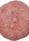 Koral Rosa