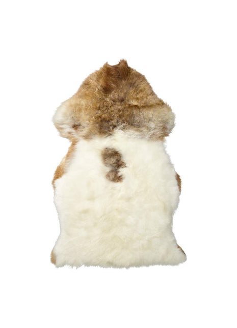 Lammeskind | Langhåret | 95x60 cm