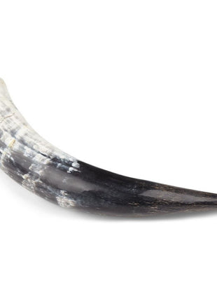 Blisbukhorn | Sydafrika | Poleret| +30 cm
