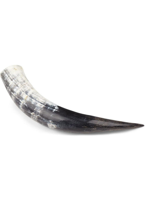 Blisbukhorn | Sydafrika | Poleret| +30 cm