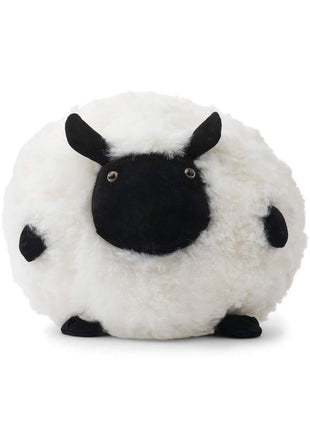 Cute Sheep | Korthåret | New Zealand Sort/Hvid